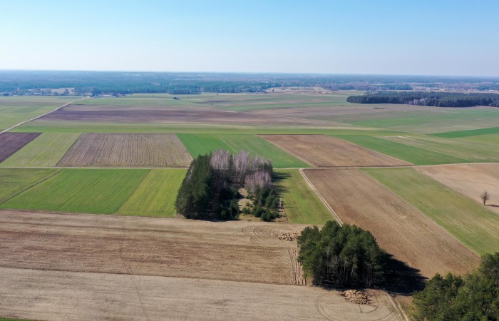 kolneński, Mały Płock, Śmiarowo, Pole i las w miejscowości Śmiarowo gmina Mały Płock