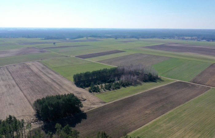 kolneński, Mały Płock, Śmiarowo, Pole i las w miejscowości Śmiarowo gmina Mały Płock