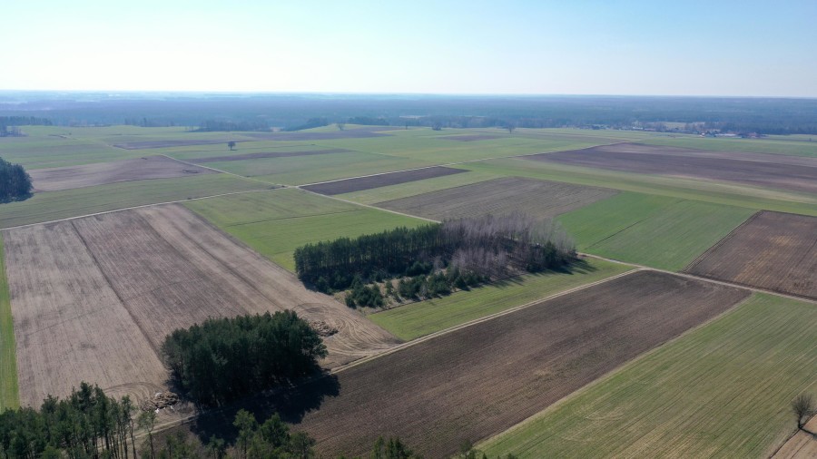 kolneński, Mały Płock, Śmiarowo, Pole i las w miejscowości Śmiarowo gmina Mały Płock