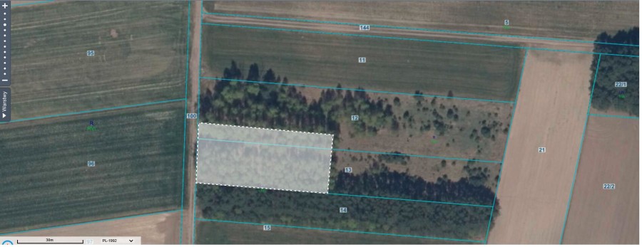 kolneński, Mały Płock, Śmiarowo, Pole i las w miejscowości Śmiarowo gmina Mały Płock