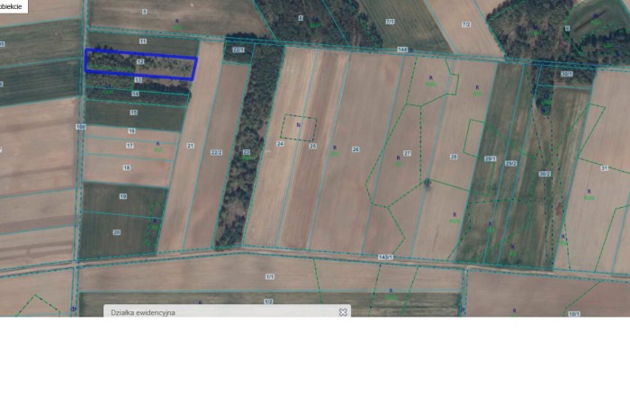 kolneński, Mały Płock, Śmiarowo, Pole i las w miejscowości Śmiarowo gmina Mały Płock