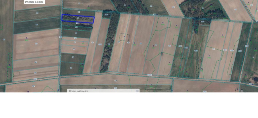 kolneński, Mały Płock, Śmiarowo, Pole i las w miejscowości Śmiarowo gmina Mały Płock