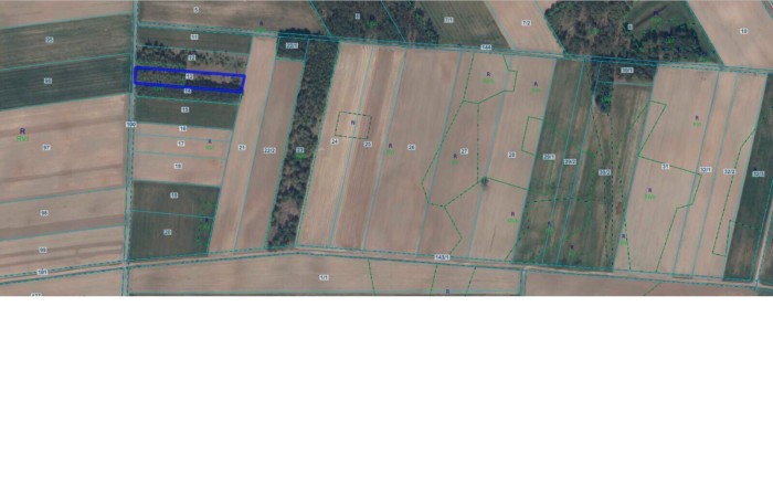 kolneński, Mały Płock, Śmiarowo, Pole i las w miejscowości Śmiarowo gmina Mały Płock