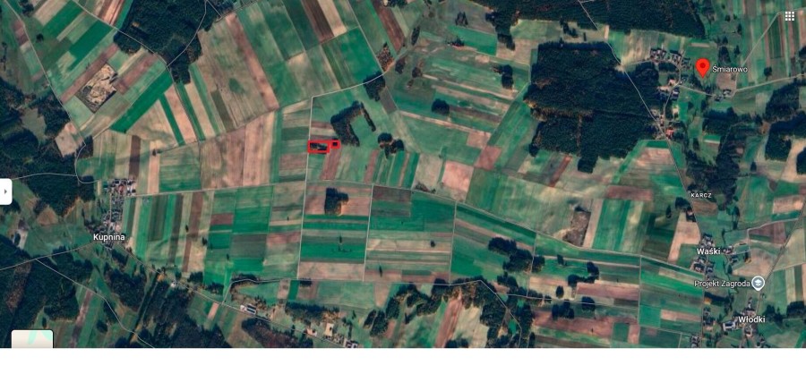 kolneński, Mały Płock, Śmiarowo, Pole i las w miejscowości Śmiarowo gmina Mały Płock