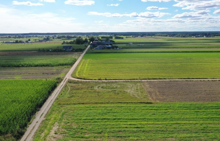 kolneński, Kolno, Czerwone, Działka z warunkami zabudowy – blisko miasta, idealna pod dom