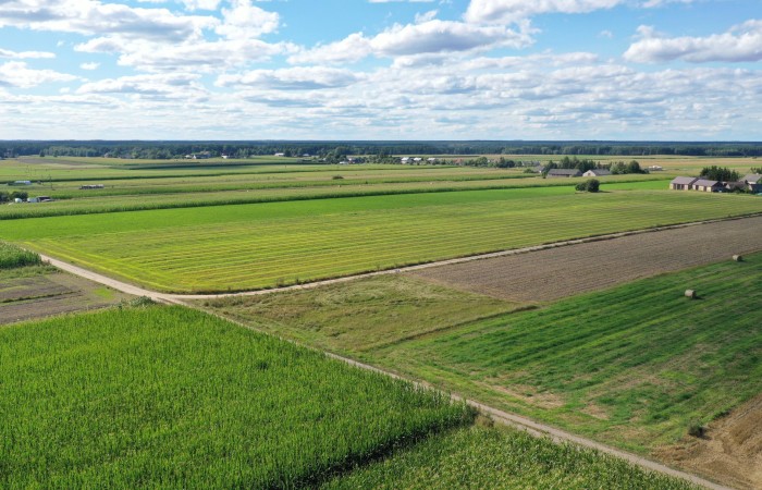 kolneński, Kolno, Czerwone, Działka z warunkami zabudowy – blisko miasta, idealna pod dom