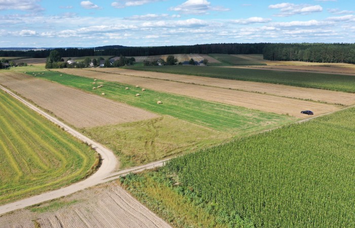 kolneński, Kolno, Czerwone, Działka z warunkami zabudowy – blisko miasta, idealna pod dom