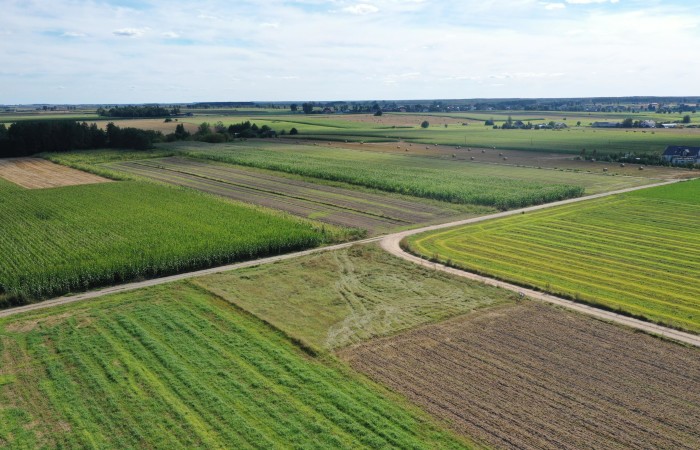 kolneński, Kolno, Czerwone, Działka z warunkami zabudowy – blisko miasta, idealna pod dom