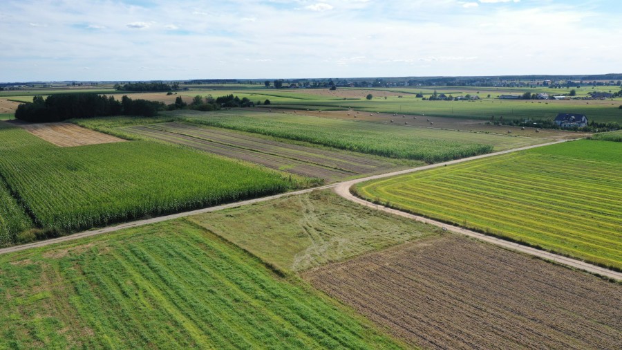 kolneński, Kolno, Czerwone, Działka z warunkami zabudowy – blisko miasta, idealna pod dom