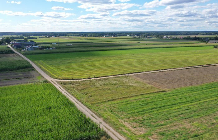 kolneński, Kolno, Czerwone, Działka z warunkami zabudowy – blisko miasta, idealna pod dom