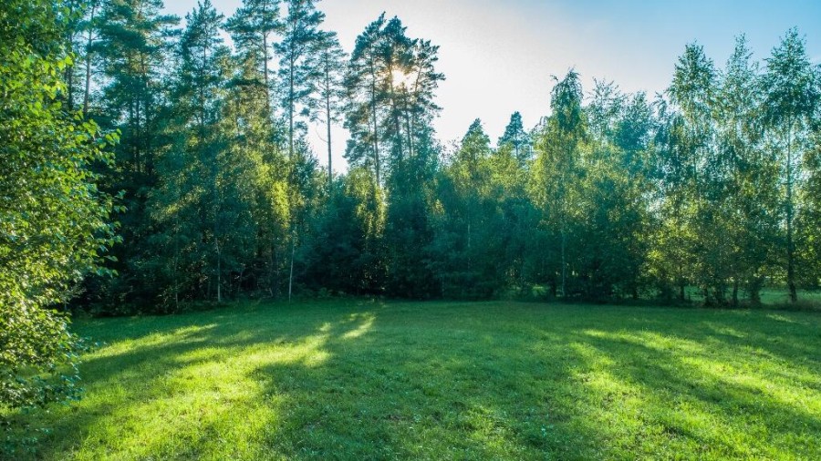 giżycki, Miłki, Rydzewo, Obwodowa, Działka bud. Rydzewo gm Miłki