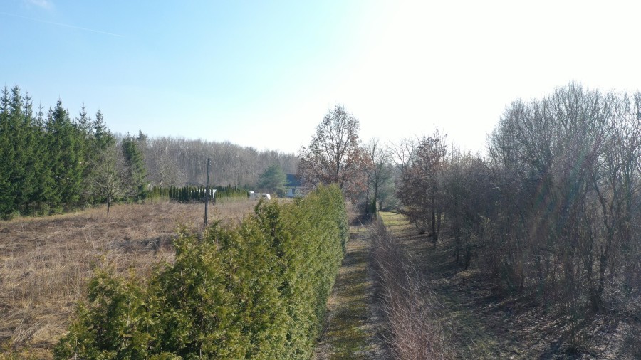 łomżyński, Piątnica, Elżbiecin, Nowoczesna rezydencja z ogromnym potencjałem