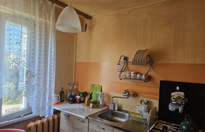 Ostrołęka, S. Żeromskiego, Perełka - mieszkanie na parterze  czynsz 250zł