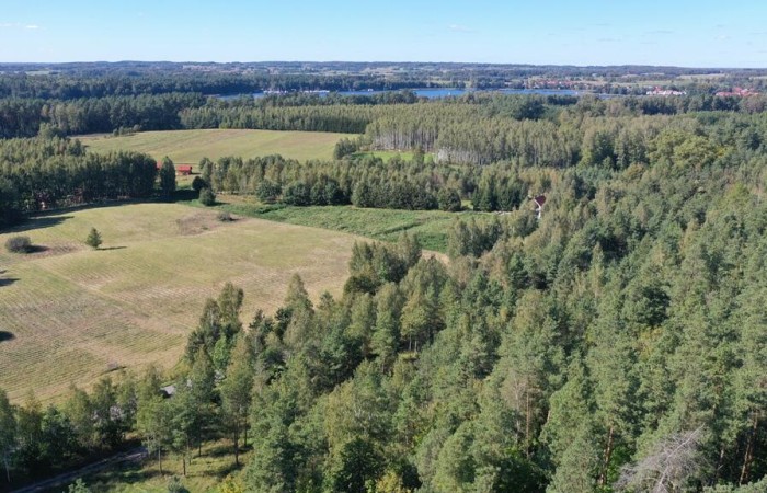 giżycki, Miłki, Rydzewo, Mazurska, Na sprzedaż kompleks od 6 do 12 działek budowlanych – Rydzewo, ul. Mazurska 111