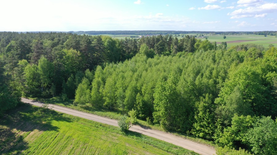 łomżyński, Piątnica, Stary Cydzyn, Super okazja - las w Starym Cydzynie w super cenie