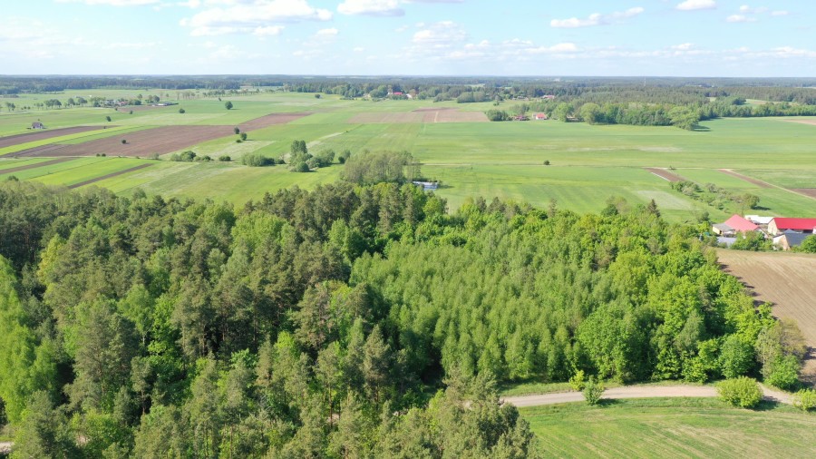łomżyński, Piątnica, Stary Cydzyn, Super okazja - las w Starym Cydzynie w super cenie