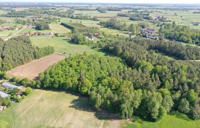 łomżyński, Piątnica, Stary Cydzyn, Super okazja - las w Starym Cydzynie w super cenie