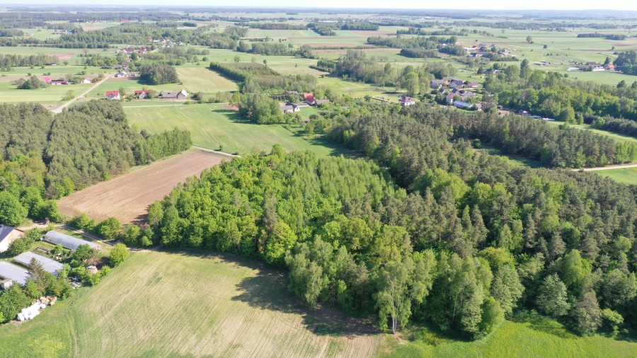 łomżyński, Piątnica, Stary Cydzyn, Super okazja - las w Starym Cydzynie w super cenie