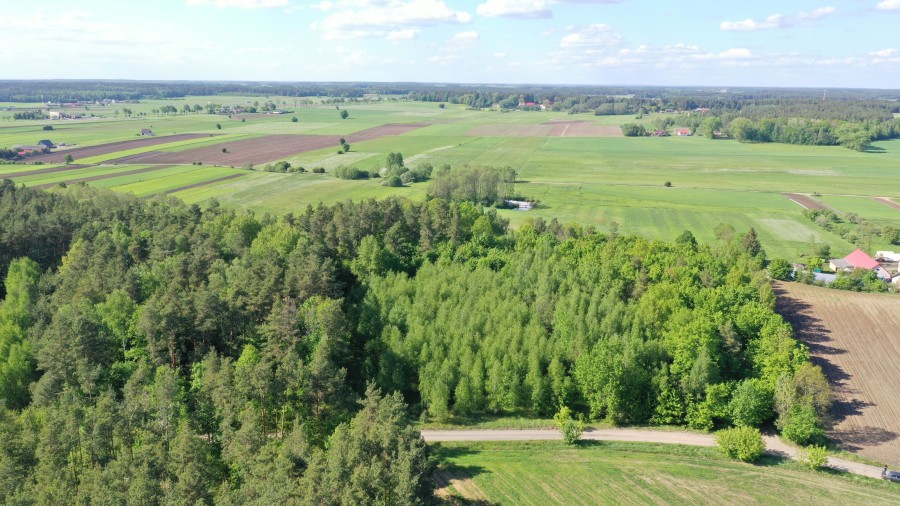 łomżyński, Piątnica, Stary Cydzyn, Super okazja - las w Starym Cydzynie w super cenie