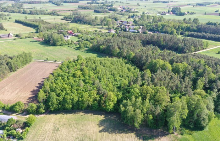 łomżyński, Piątnica, Stary Cydzyn, Super okazja - las w Starym Cydzynie w super cenie