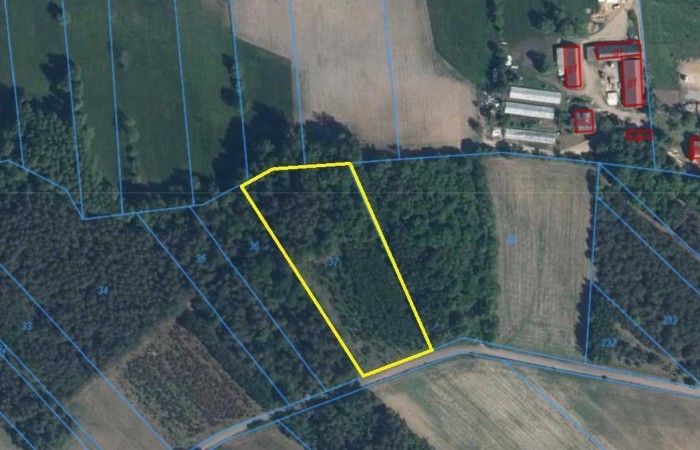 łomżyński, Piątnica, Stary Cydzyn, Super okazja - las w Starym Cydzynie w super cenie