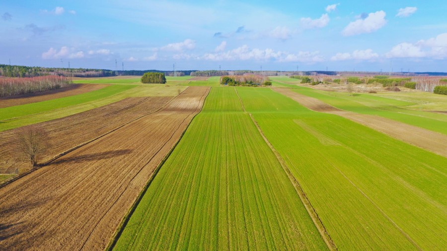 łomżyński, Łomża, Stare Modzele, Wesoła, Działki budowlane w atrakcyjnej cenie blisko Łomży