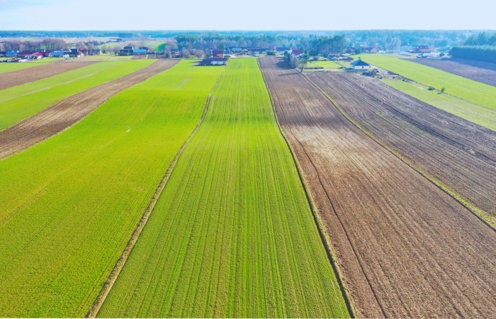 łomżyński, Łomża, Stare Modzele, Wesoła, Działki budowlane w atrakcyjnej cenie blisko Łomży
