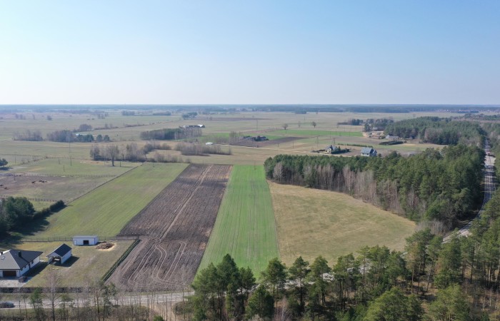 kolneński, Turośl, Ptaki, Ostatnia działka nieopodal rzeki Pisy