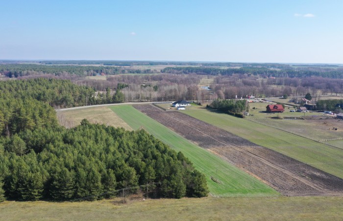 kolneński, Turośl, Ptaki, Ostatnia działka nieopodal rzeki Pisy