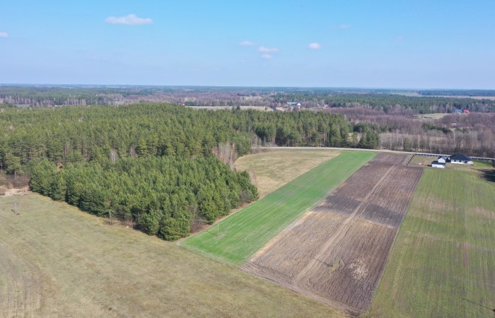 kolneński, Turośl, Ptaki, Ostatnia działka nieopodal rzeki Pisy