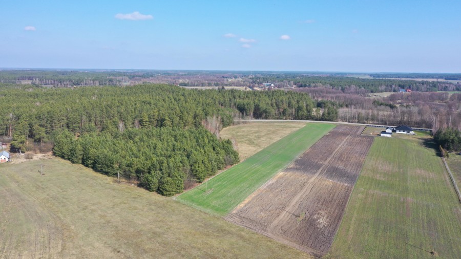 kolneński, Turośl, Ptaki, Ostatnia działka nieopodal rzeki Pisy