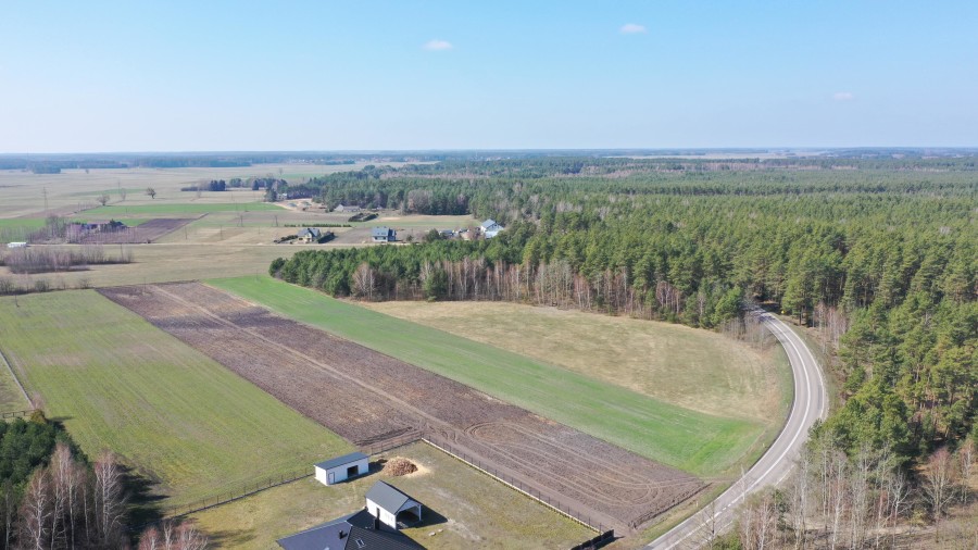 kolneński, Turośl, Ptaki, Ostatnia działka nieopodal rzeki Pisy