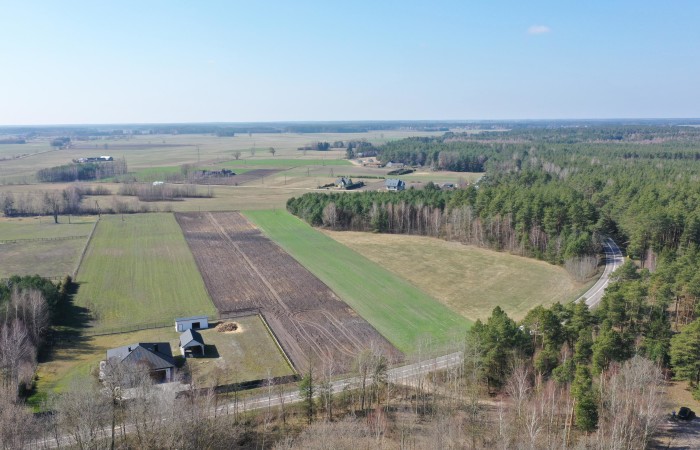 kolneński, Turośl, Ptaki, Ostatnia działka nieopodal rzeki Pisy