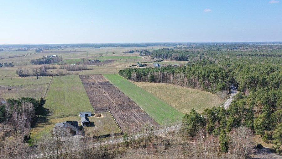 kolneński, Turośl, Ptaki, Ostatnia działka nieopodal rzeki Pisy