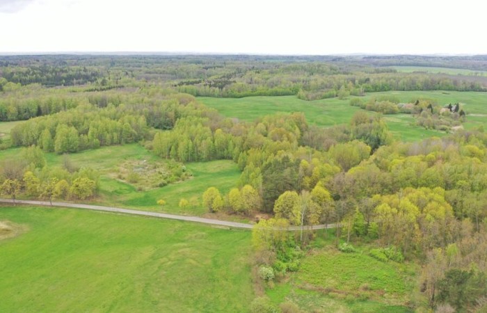 kętrzyński, Kętrzyn, Langanki, Działka Rolna 7,77 ha Langanki