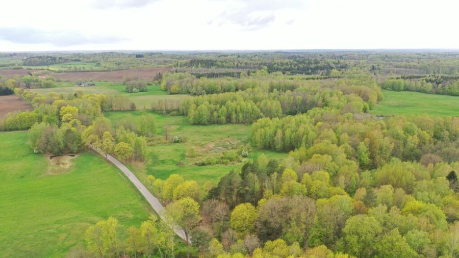 kętrzyński, Kętrzyn, Langanki, Działka Rolna 7,77 ha Langanki