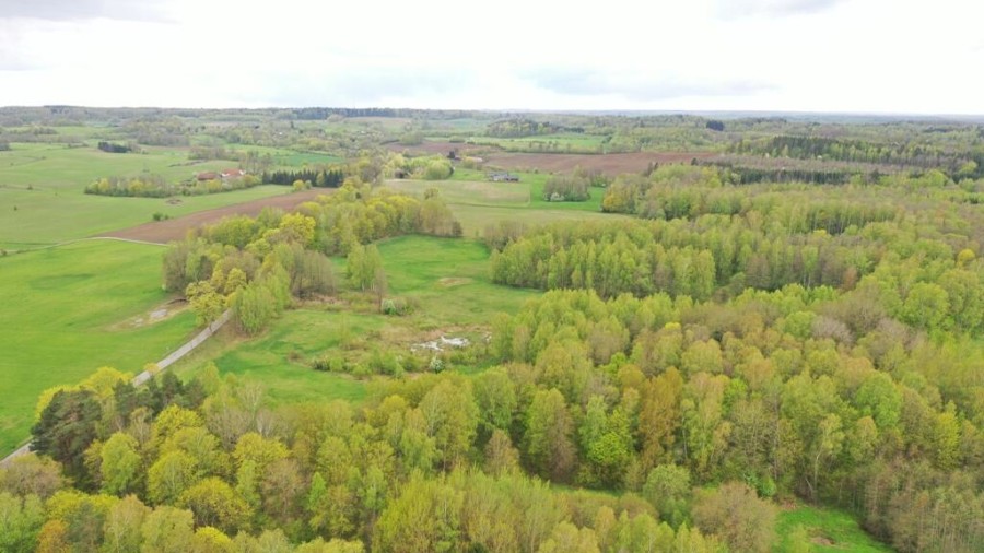 kętrzyński, Kętrzyn, Langanki, Działka Rolna 7,77 ha Langanki