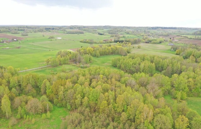 kętrzyński, Kętrzyn, Langanki, Działka Rolna 7,77 ha Langanki