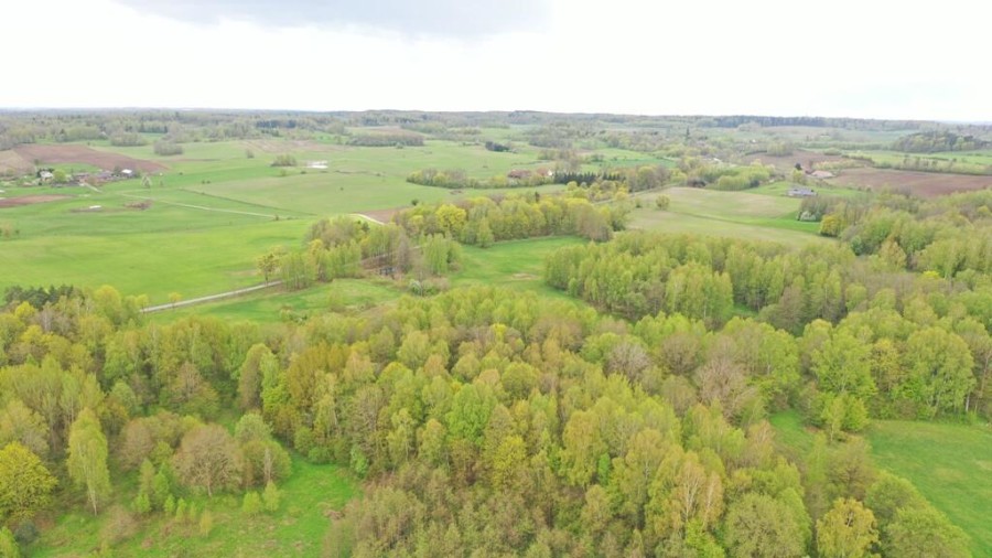 kętrzyński, Kętrzyn, Langanki, Działka Rolna 7,77 ha Langanki