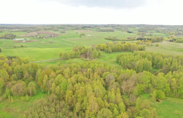 kętrzyński, Kętrzyn, Langanki, Działka Rolna 7,77 ha Langanki