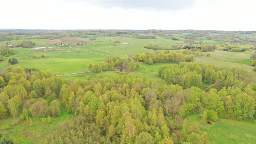 kętrzyński, Kętrzyn, Langanki, Działka Rolna 7,77 ha Langanki