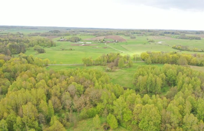 kętrzyński, Kętrzyn, Langanki, Działka Rolna 7,77 ha Langanki