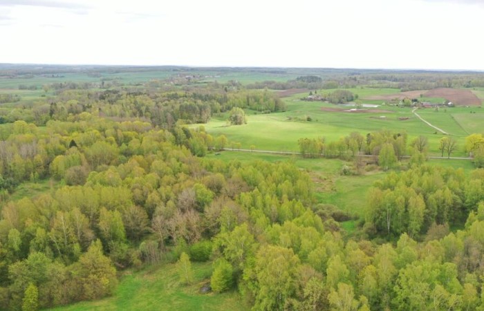 kętrzyński, Kętrzyn, Langanki, Działka Rolna 7,77 ha Langanki