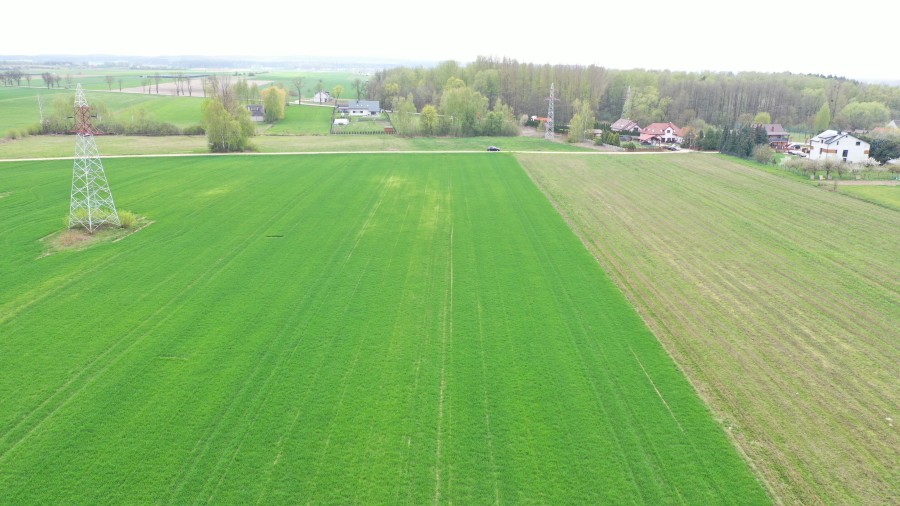 Łomża, Słonecznikowa, Działki budowlane na terenie miasta pod Twój dom!