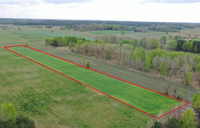 kolneński, Turośl, Cieciory, Urokliwa działka z warunkami zabudowy