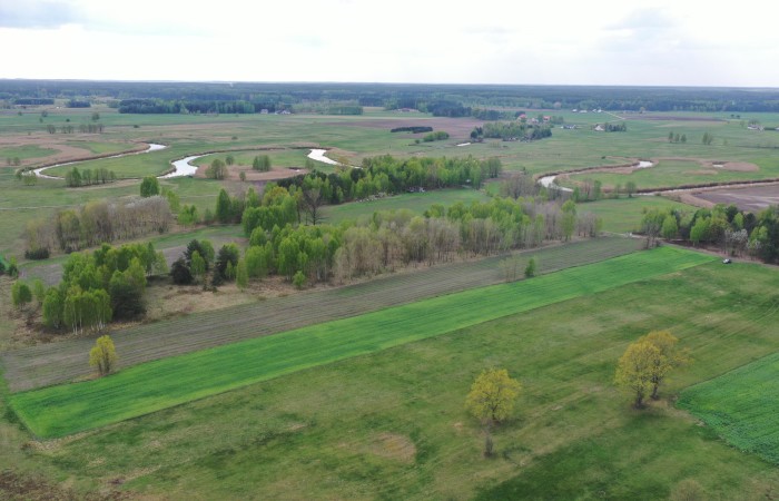 kolneński, Turośl, Cieciory, Urokliwa działka z warunkami zabudowy