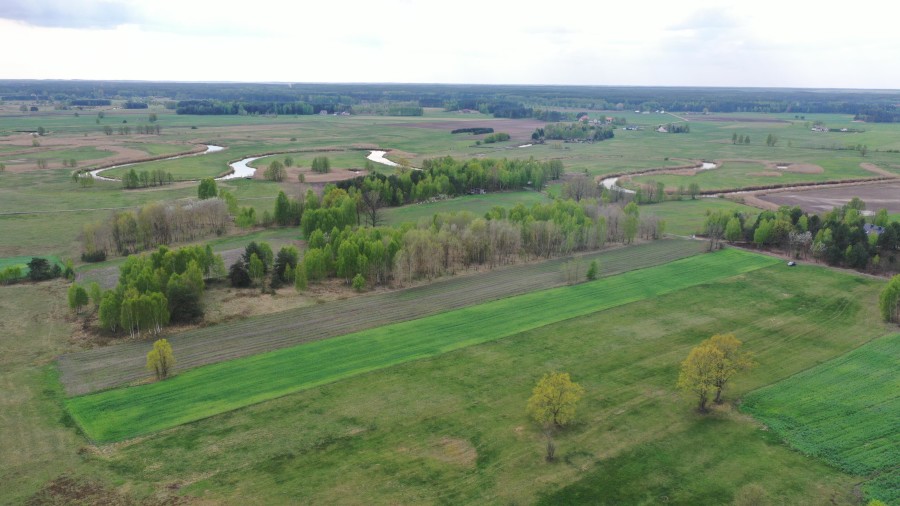 kolneński, Turośl, Cieciory, Urokliwa działka z warunkami zabudowy