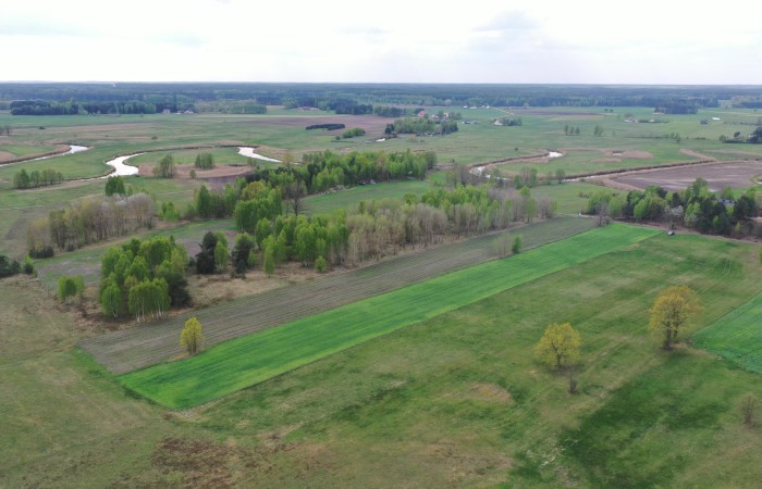 kolneński, Turośl, Cieciory, Urokliwa działka z warunkami zabudowy