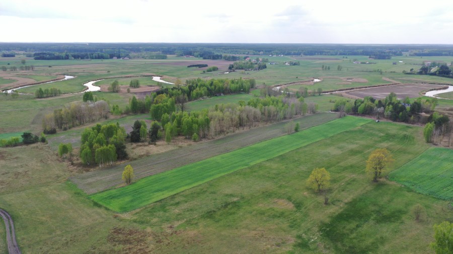 kolneński, Turośl, Cieciory, Urokliwa działka z warunkami zabudowy