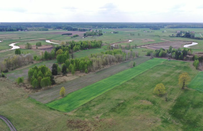 kolneński, Turośl, Cieciory, Urokliwa działka z warunkami zabudowy